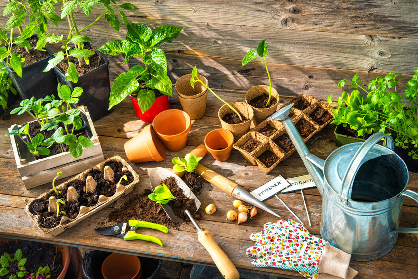 spring gardening